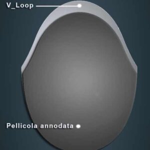 Pellicola annodata/front PatchV Derma